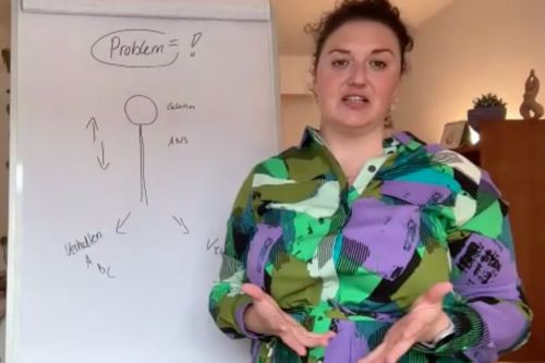 Flipchart-Beispiel – Problem/Gehirn (Vorher) Handgezeichnetes Flipchart mit der Überschrift „Problem = ?": eine einfache Strichmensch-Figur in der Mitte, beschriftet mit „Gehirn" und „ANS", umgeben von Pfeilen zu weiteren Begriffen wie „Verhalten"; im Vordergrund eine Frau, die die Zeichnung erklärt
